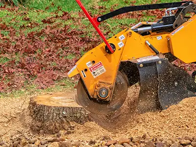 Stump Grinding